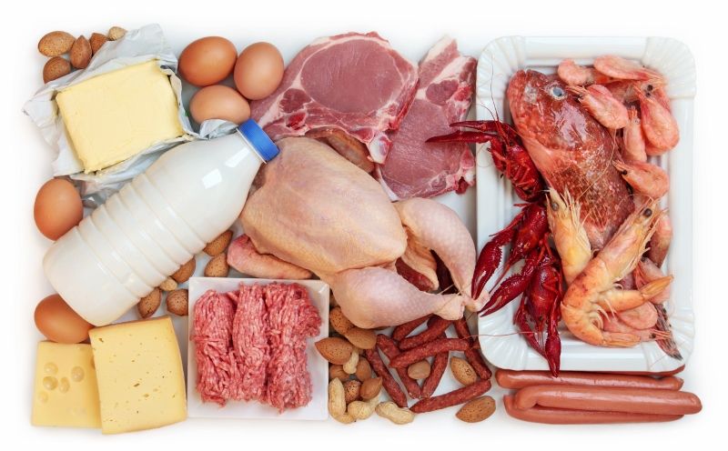 Fuentes de proteína animal