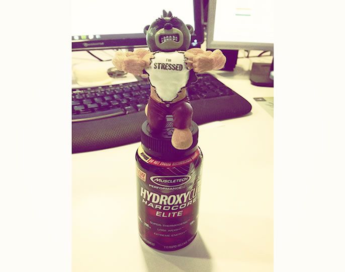 Quema grasas de Muscletech