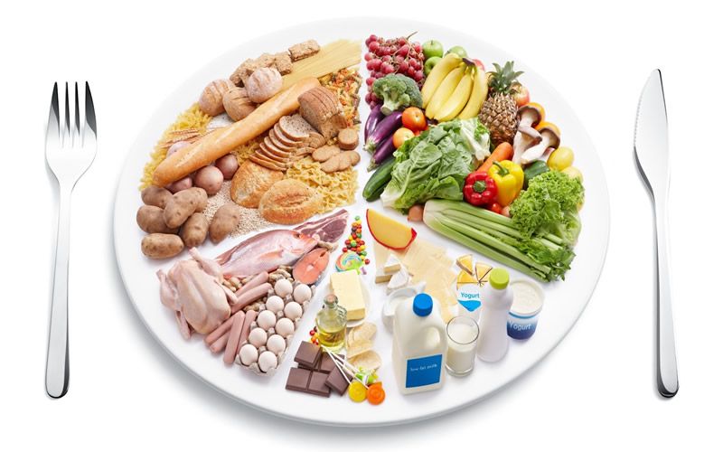 Rueda de los alimentos de la dieta de definición