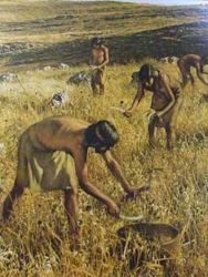 Revolución agrícola de la prehistoria